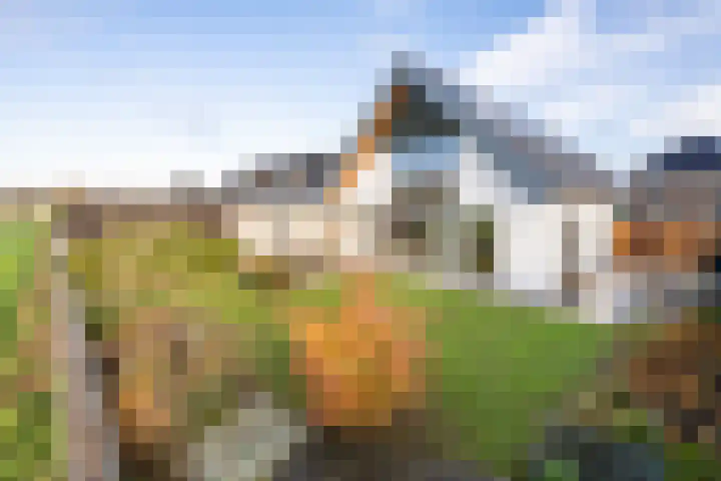 Zilverkarper 13 Vlijmen thumbnail 24