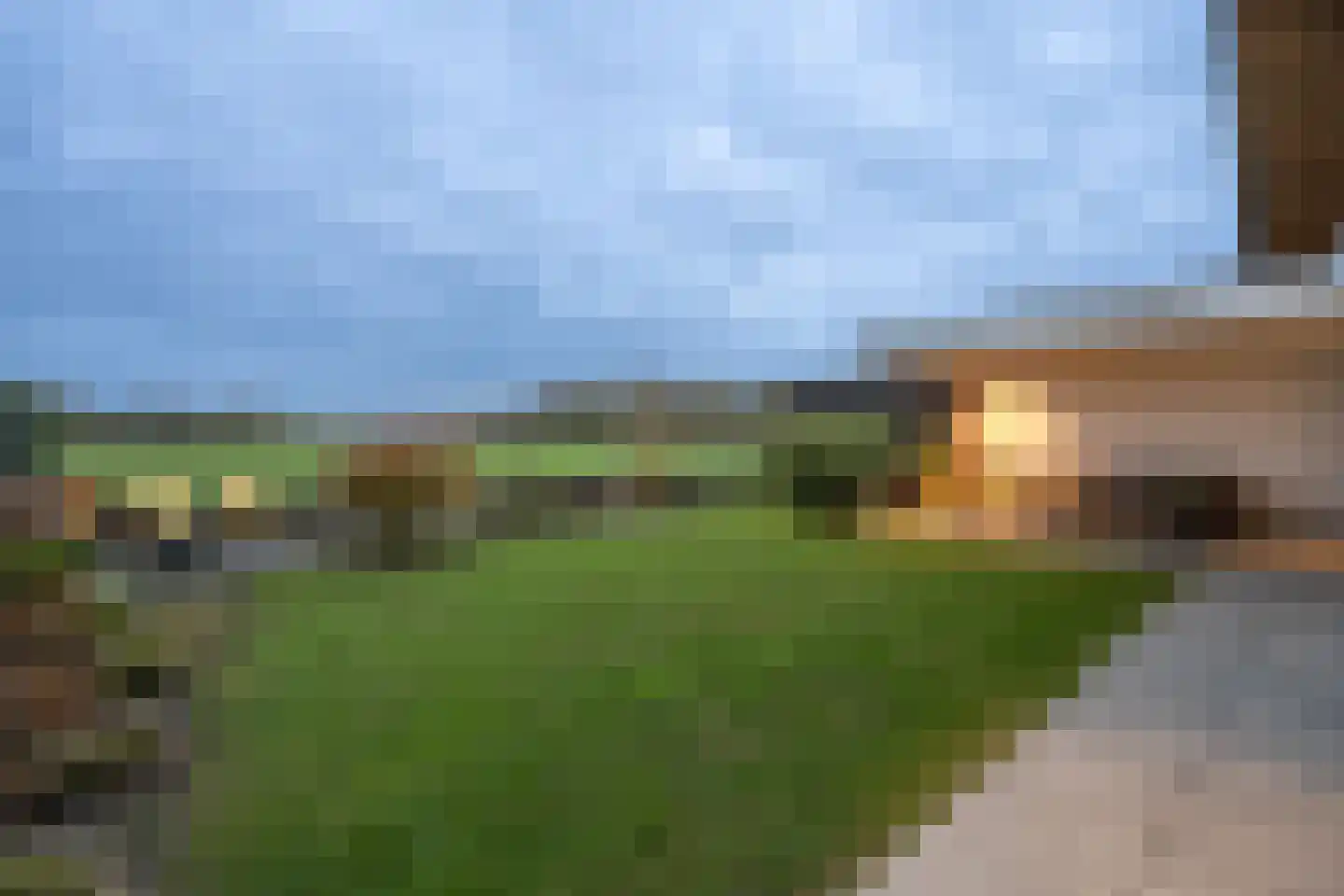 Zilverkarper 13 Vlijmen thumbnail 26