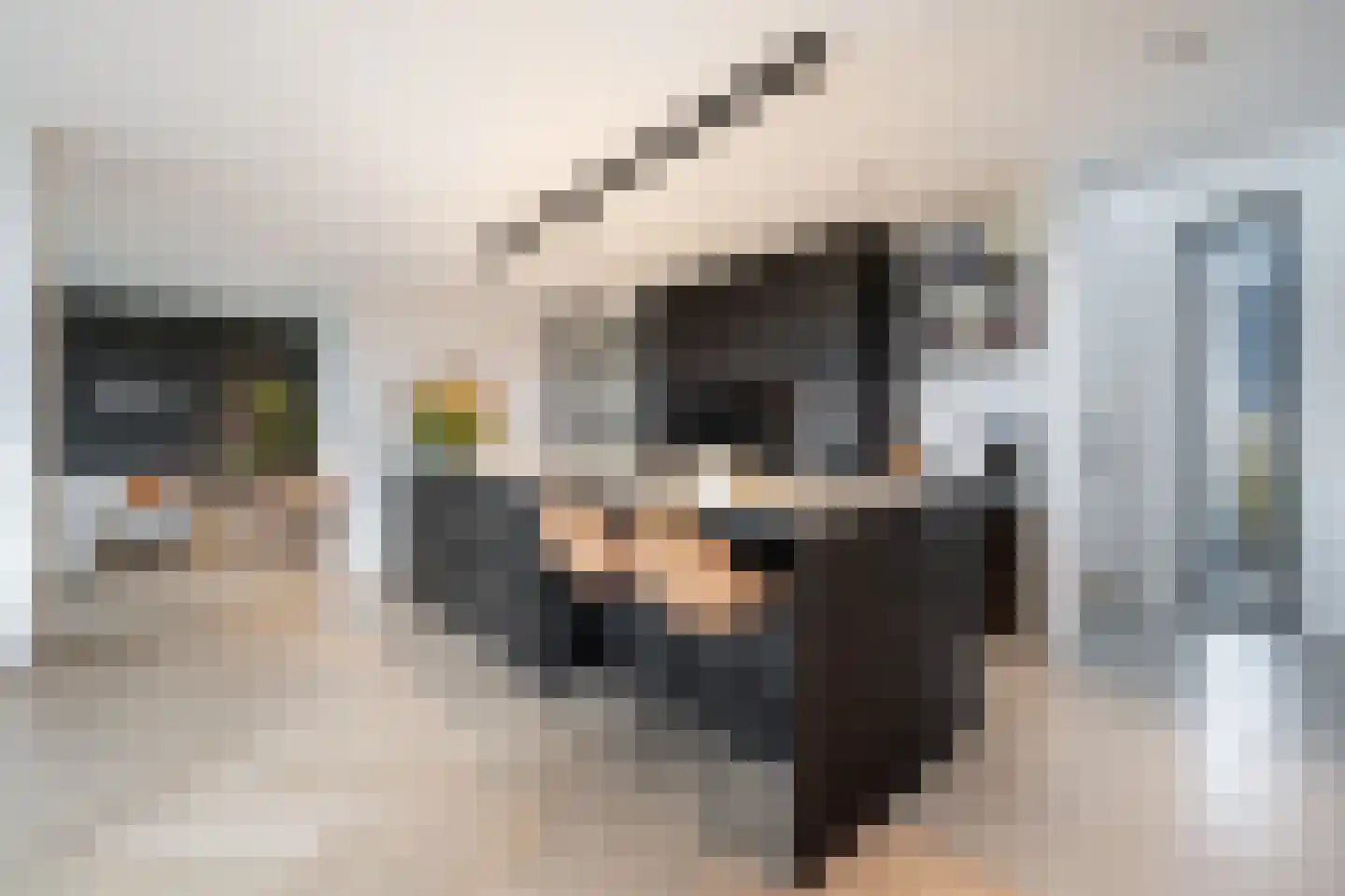 Zilverkarper 13 Vlijmen foto 3