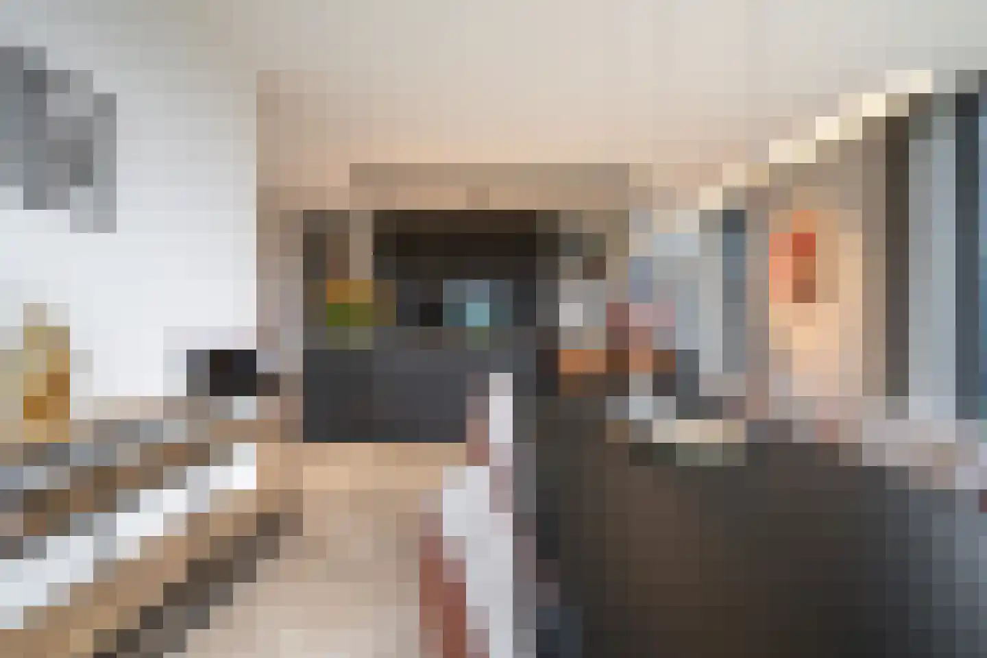 Zilverkarper 13 Vlijmen thumbnail 4