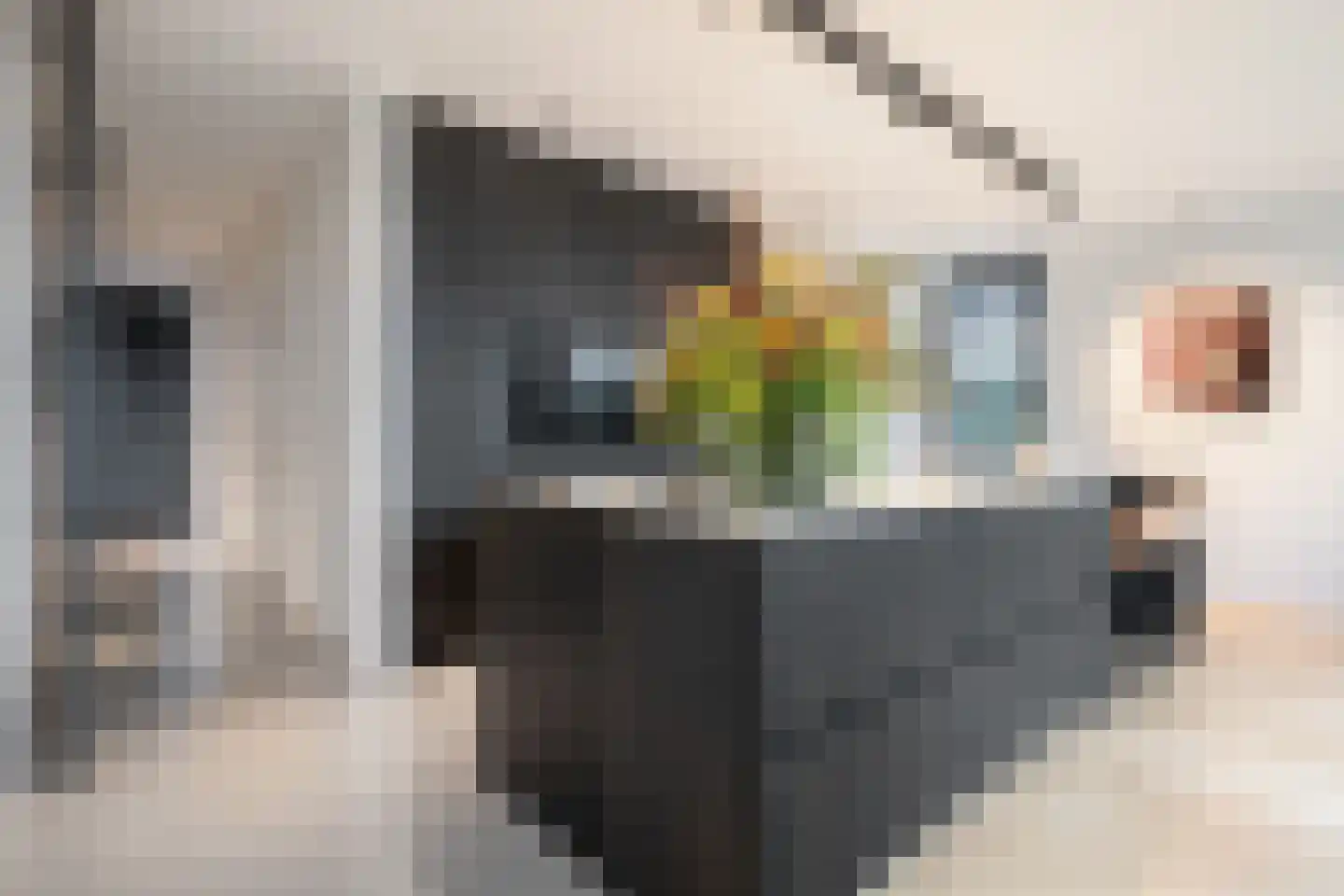 Zilverkarper 13 Vlijmen thumbnail 5