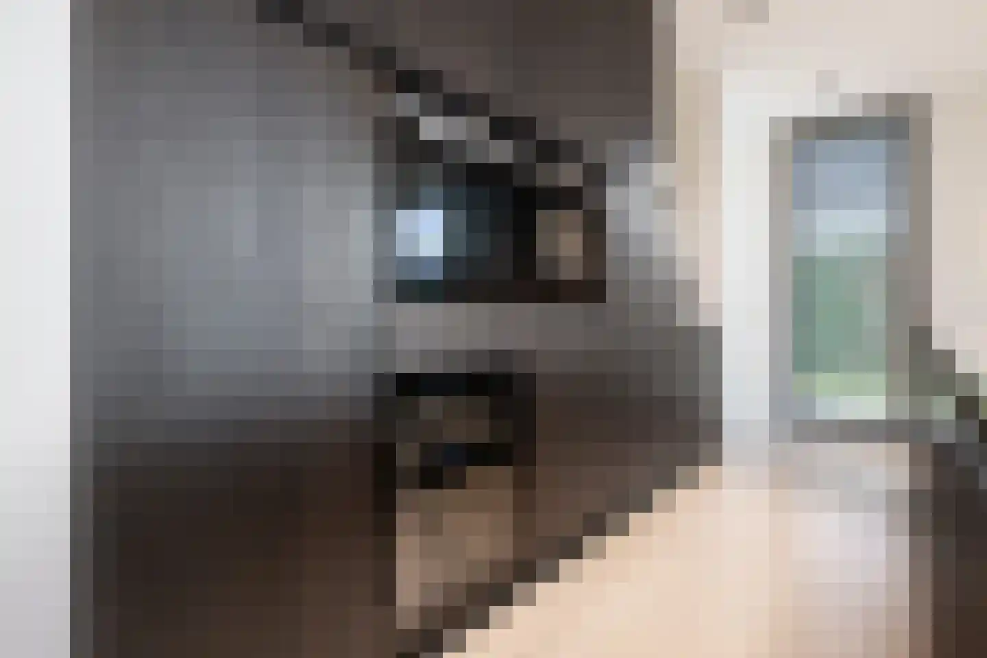 Zilverkarper 13 Vlijmen thumbnail 6