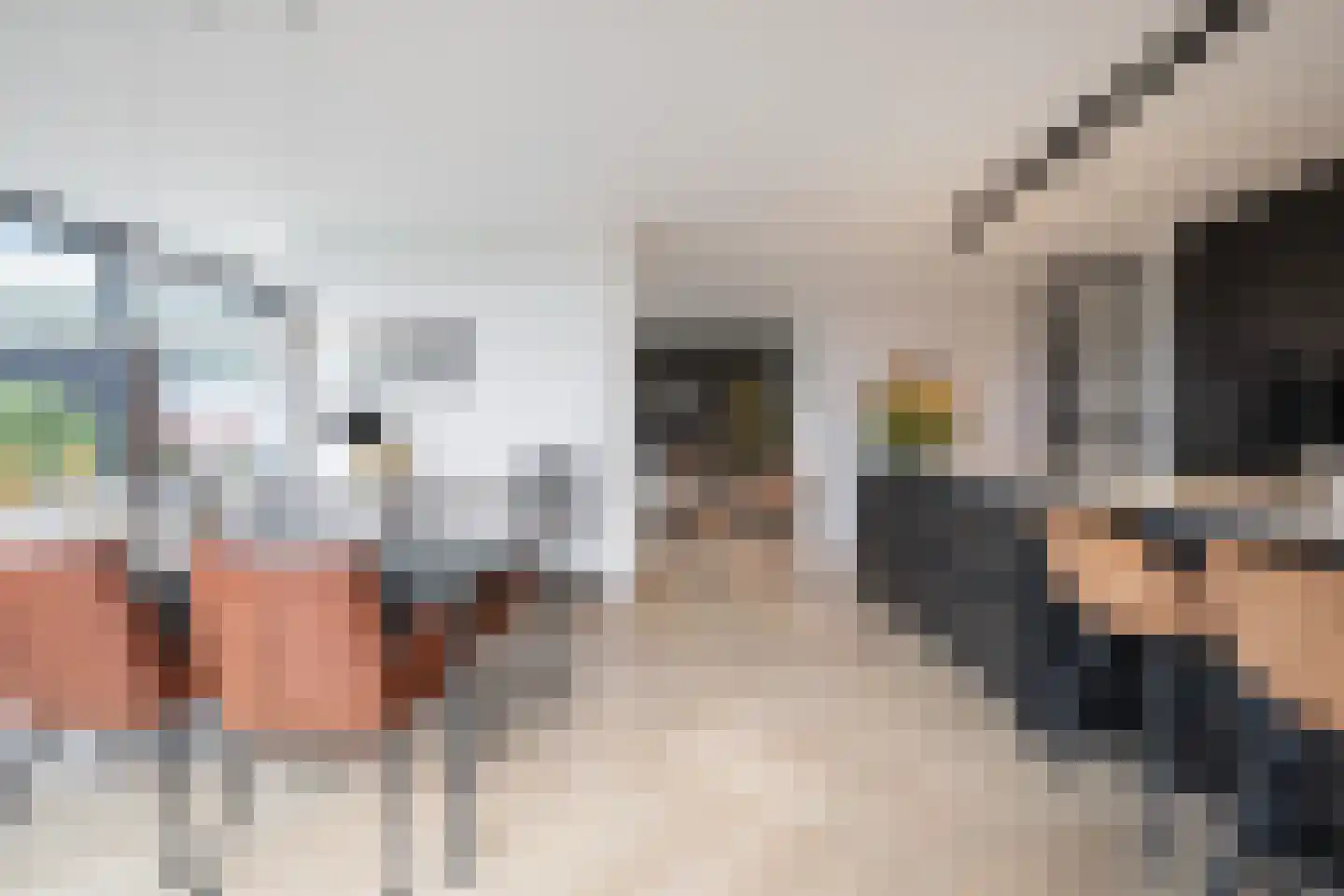 Zilverkarper 13 Vlijmen thumbnail 7