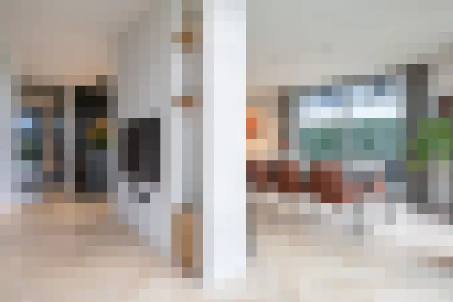 Zilverkarper 13 Vlijmen thumbnail 8