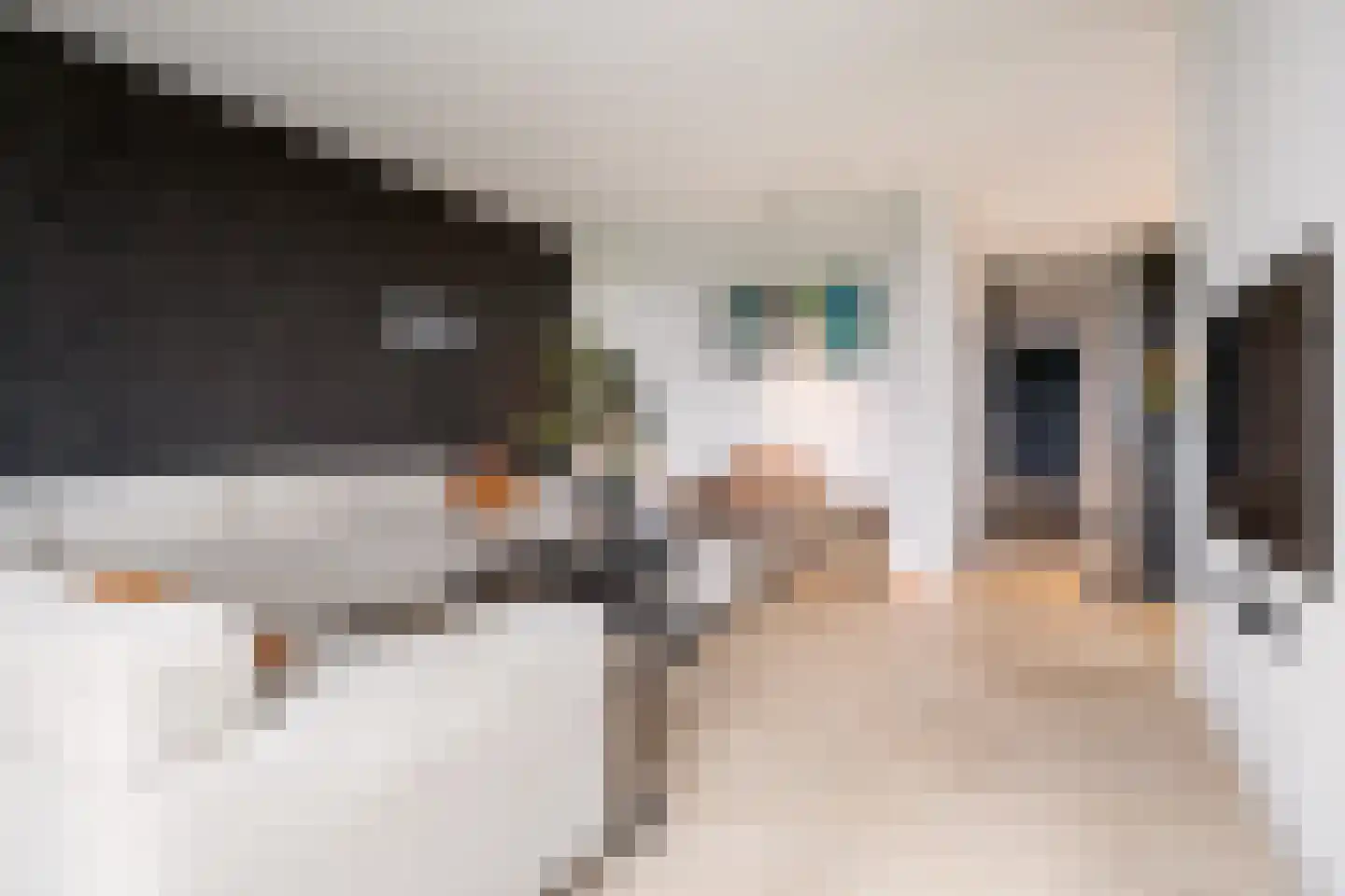 Zilverkarper 13 Vlijmen thumbnail 9