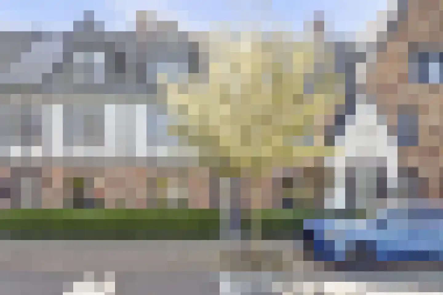 Zilverkarper 14 en Waddinxveen