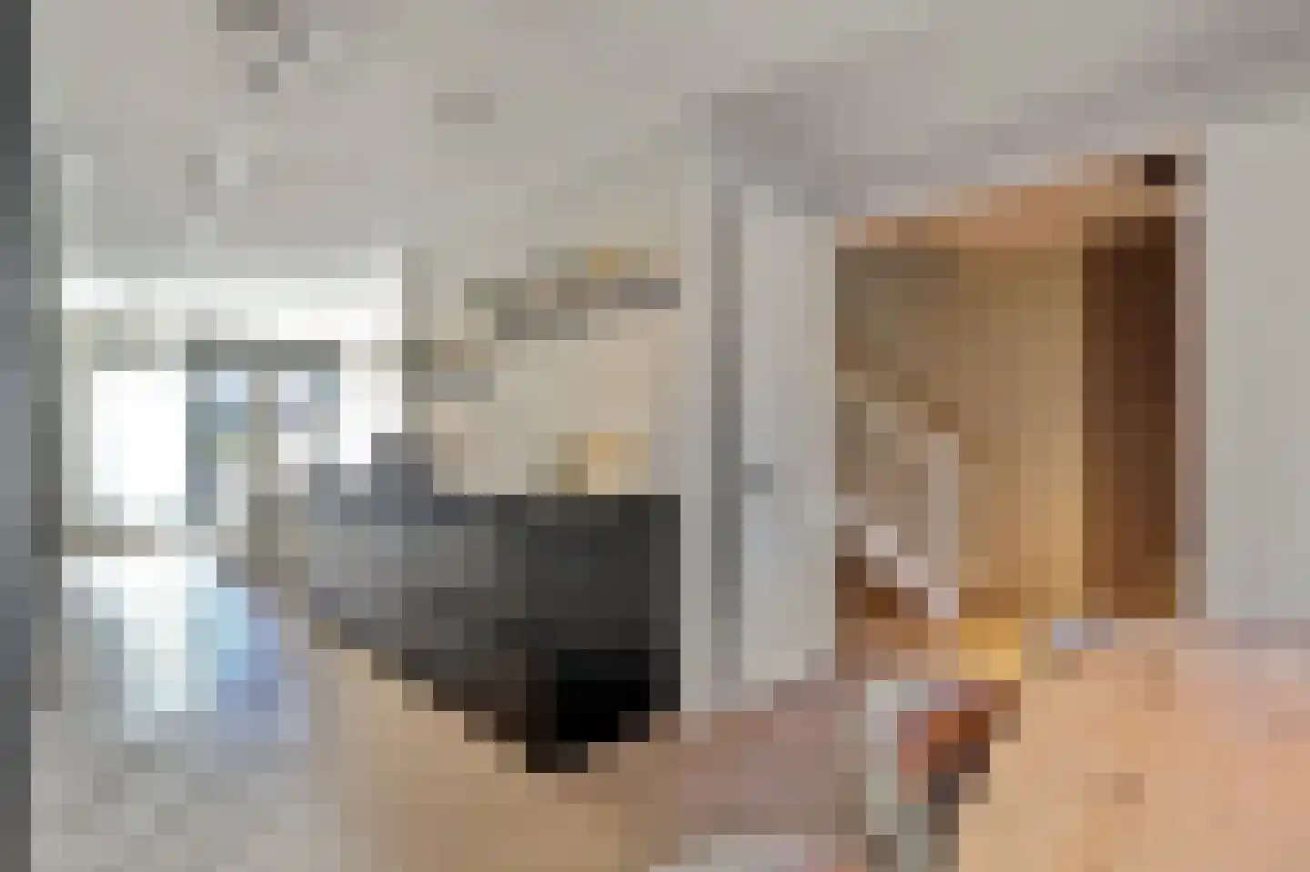 Zilverkarper 14 Waddinxveen thumbnail 10