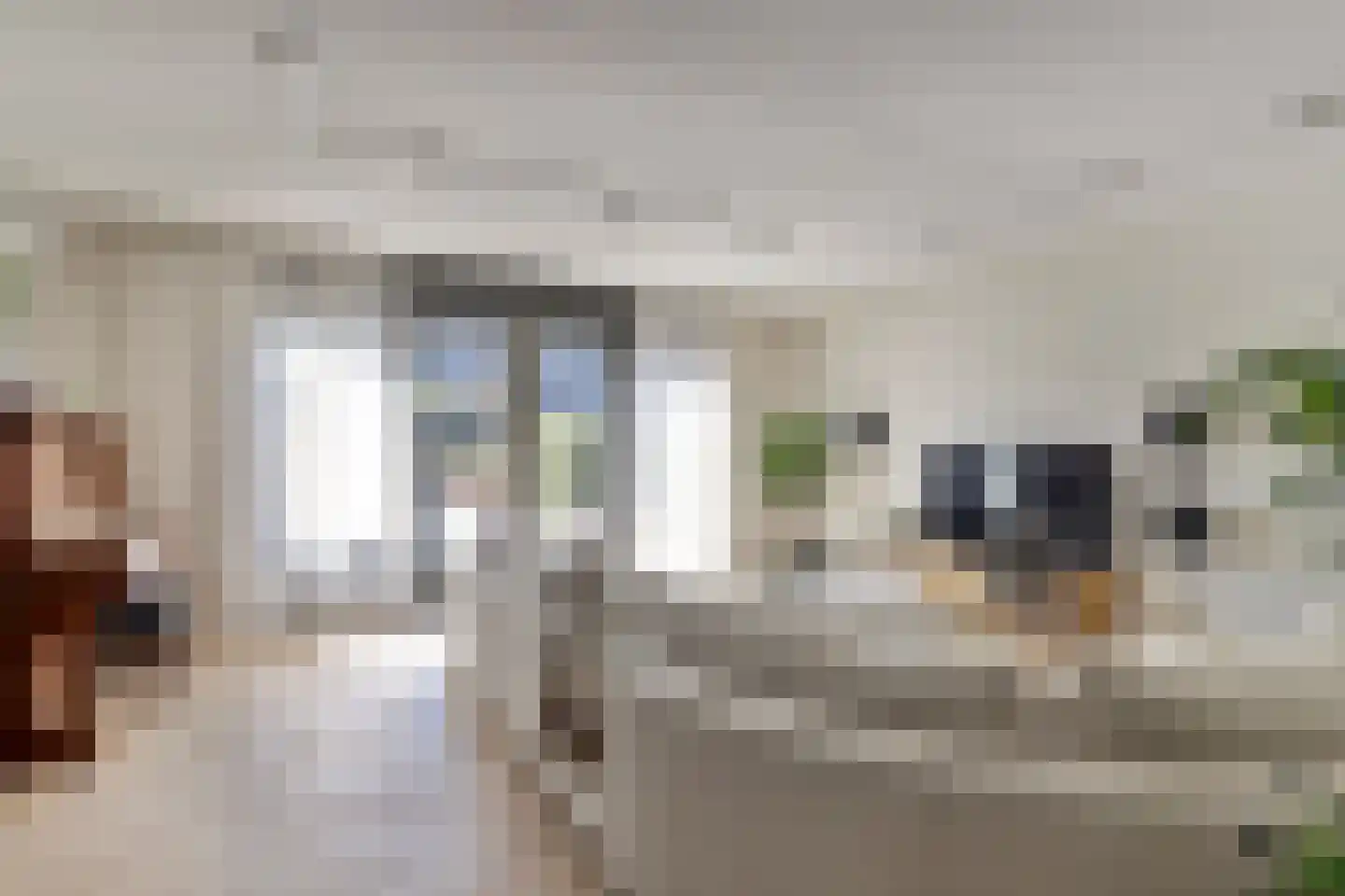 Zilverkarper 14 Waddinxveen thumbnail 11