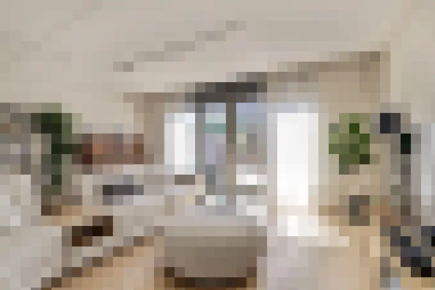 Zilverkarper 14 Waddinxveen thumbnail 14