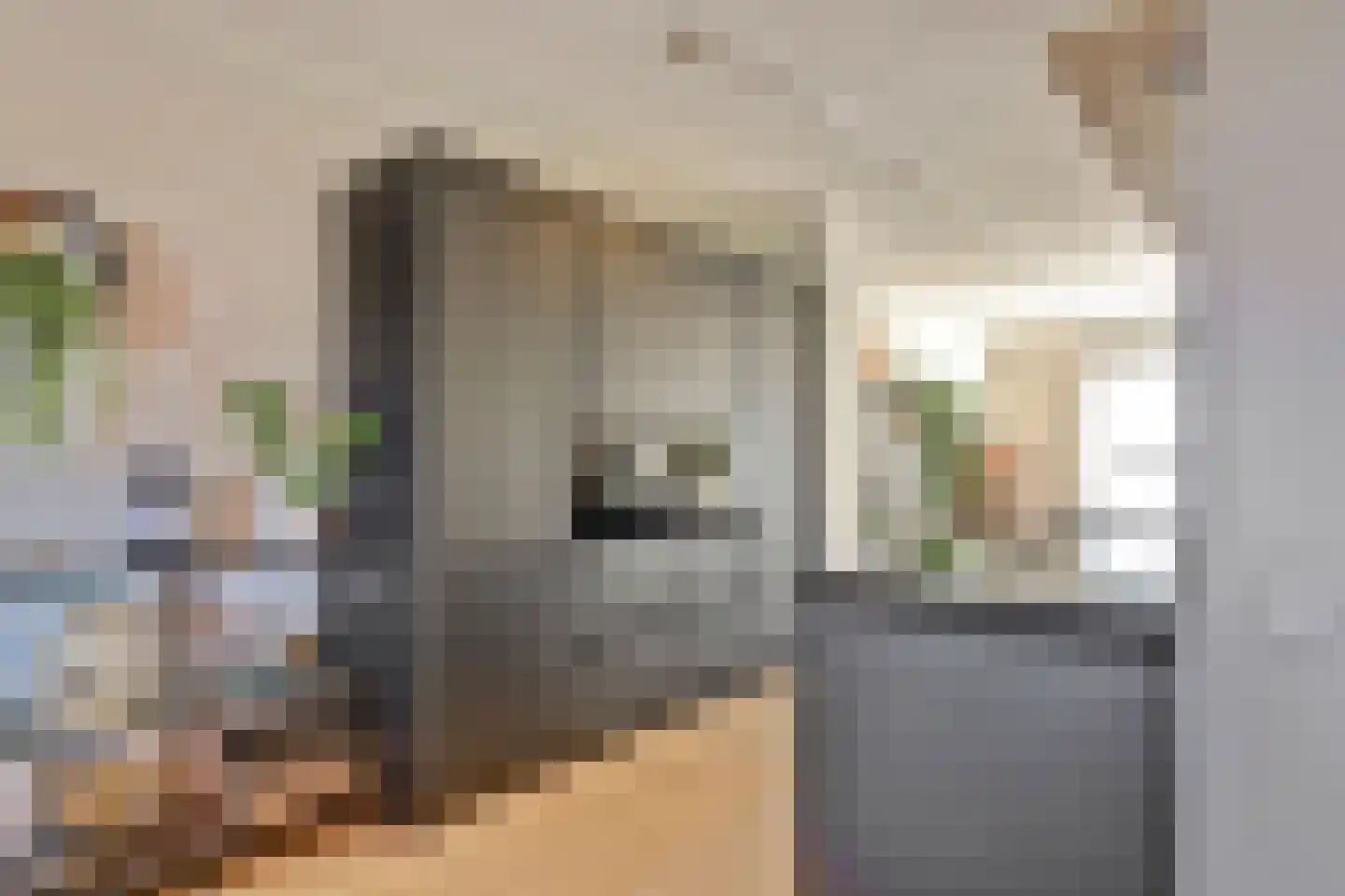 Zilverkarper 14 Waddinxveen thumbnail 16