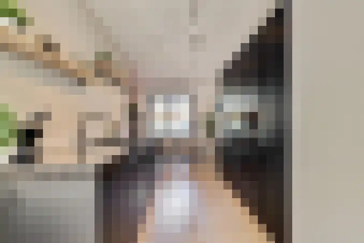 Zilverkarper 14 Waddinxveen thumbnail 17