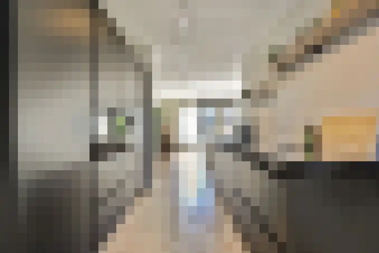 Zilverkarper 14 Waddinxveen thumbnail 18