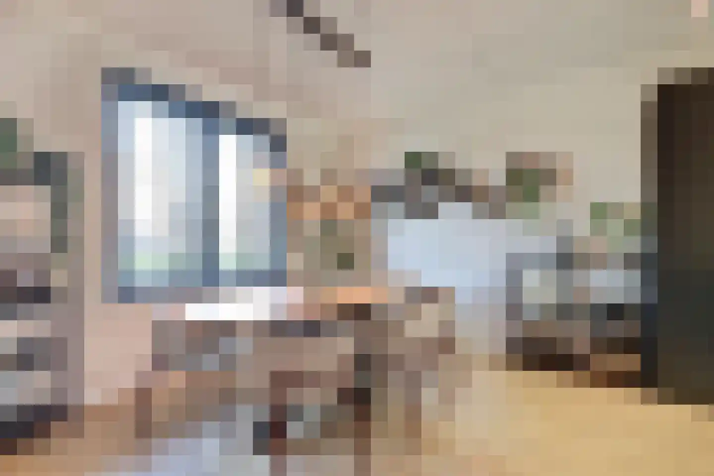Zilverkarper 14 Waddinxveen thumbnail 20