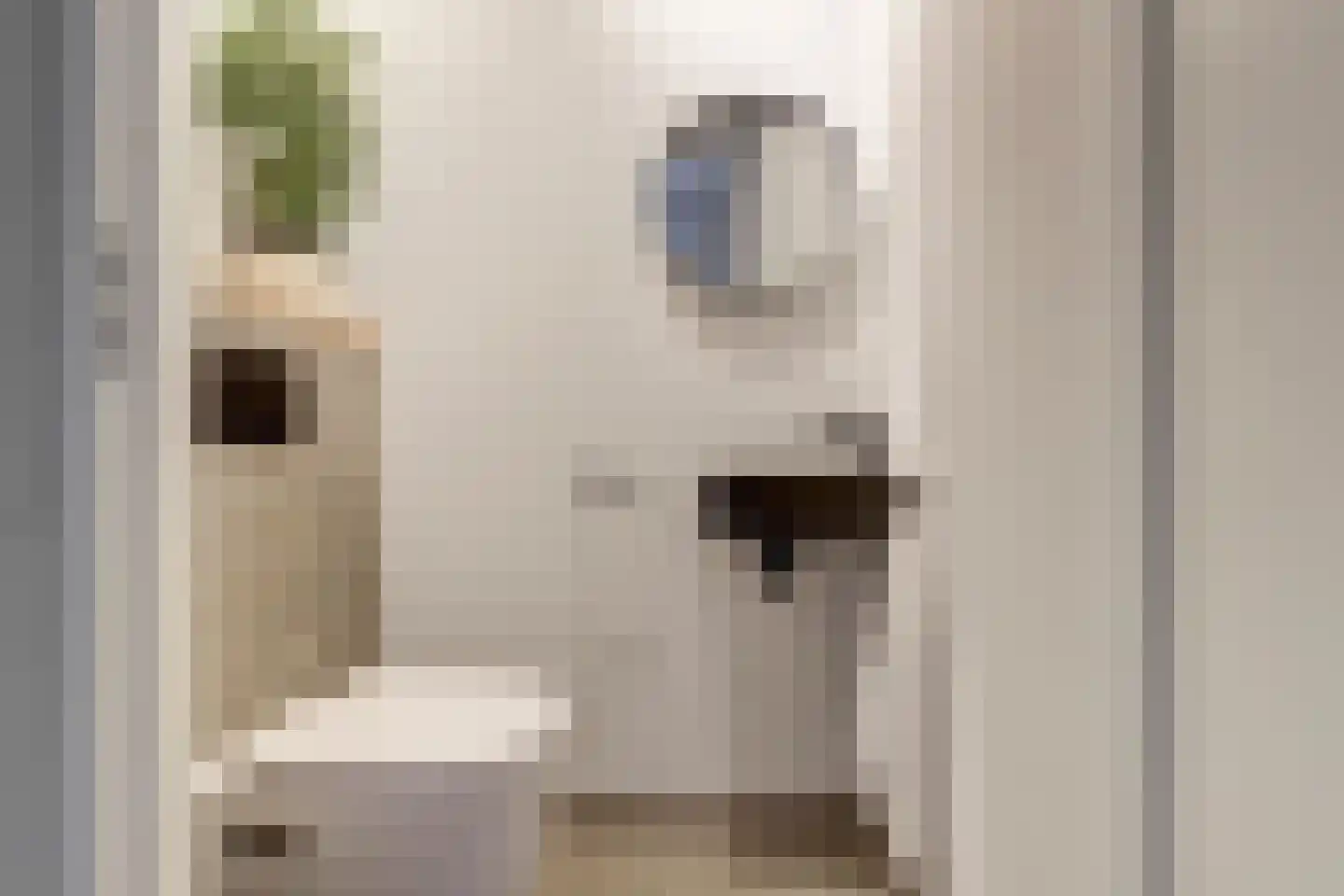 Zilverkarper 14 Waddinxveen thumbnail 22