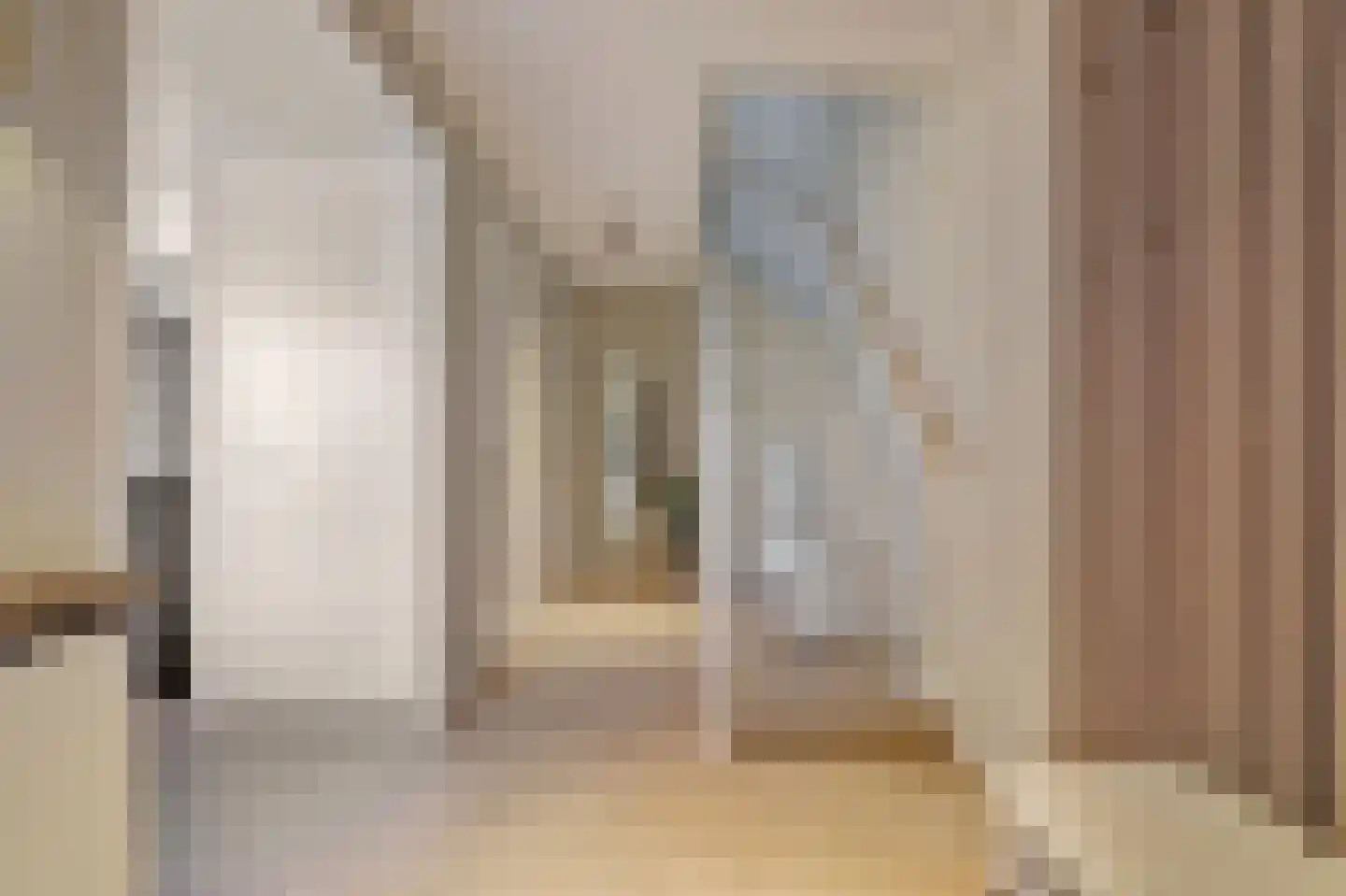 Zilverkarper 14 Waddinxveen thumbnail 23