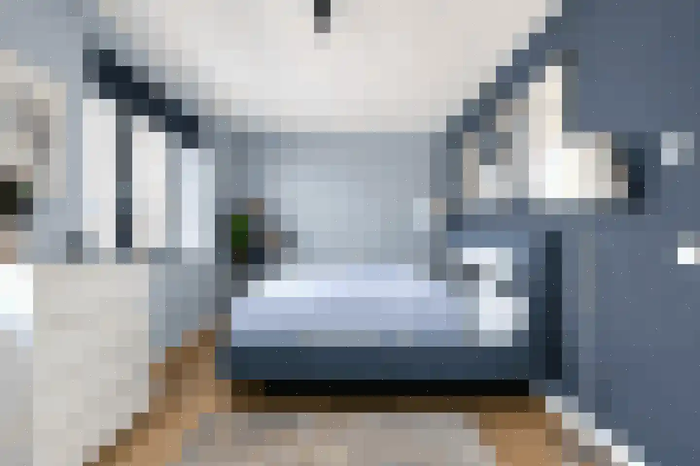 Zilverkarper 14 Waddinxveen thumbnail 24