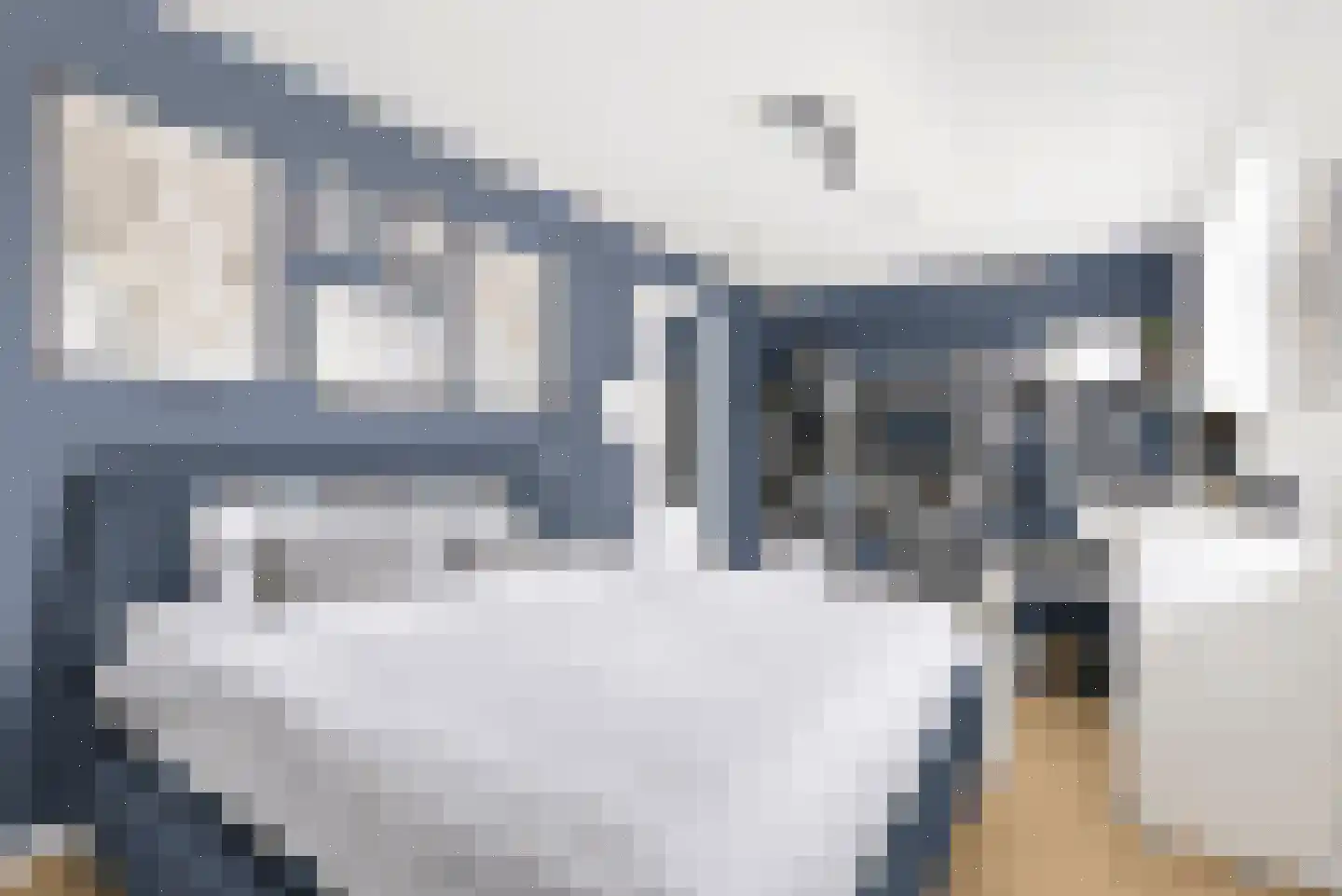 Zilverkarper 14 Waddinxveen thumbnail 25