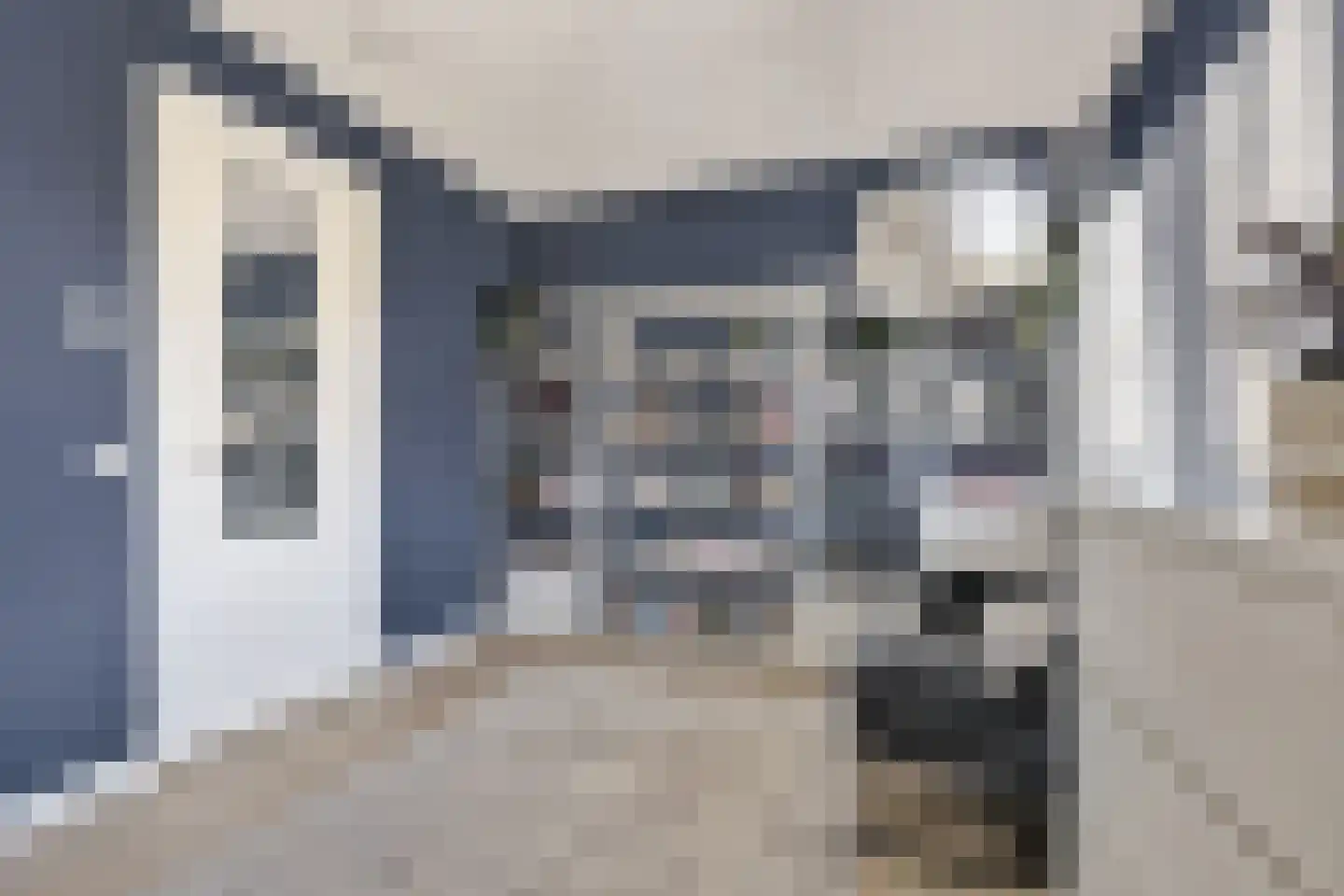 Zilverkarper 14 Waddinxveen thumbnail 26