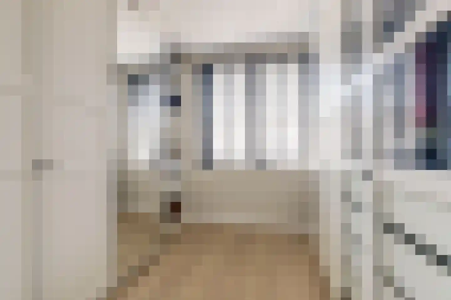 Zilverkarper 14 Waddinxveen thumbnail 27