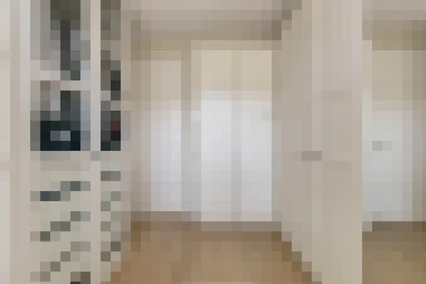 Zilverkarper 14 Waddinxveen thumbnail 28