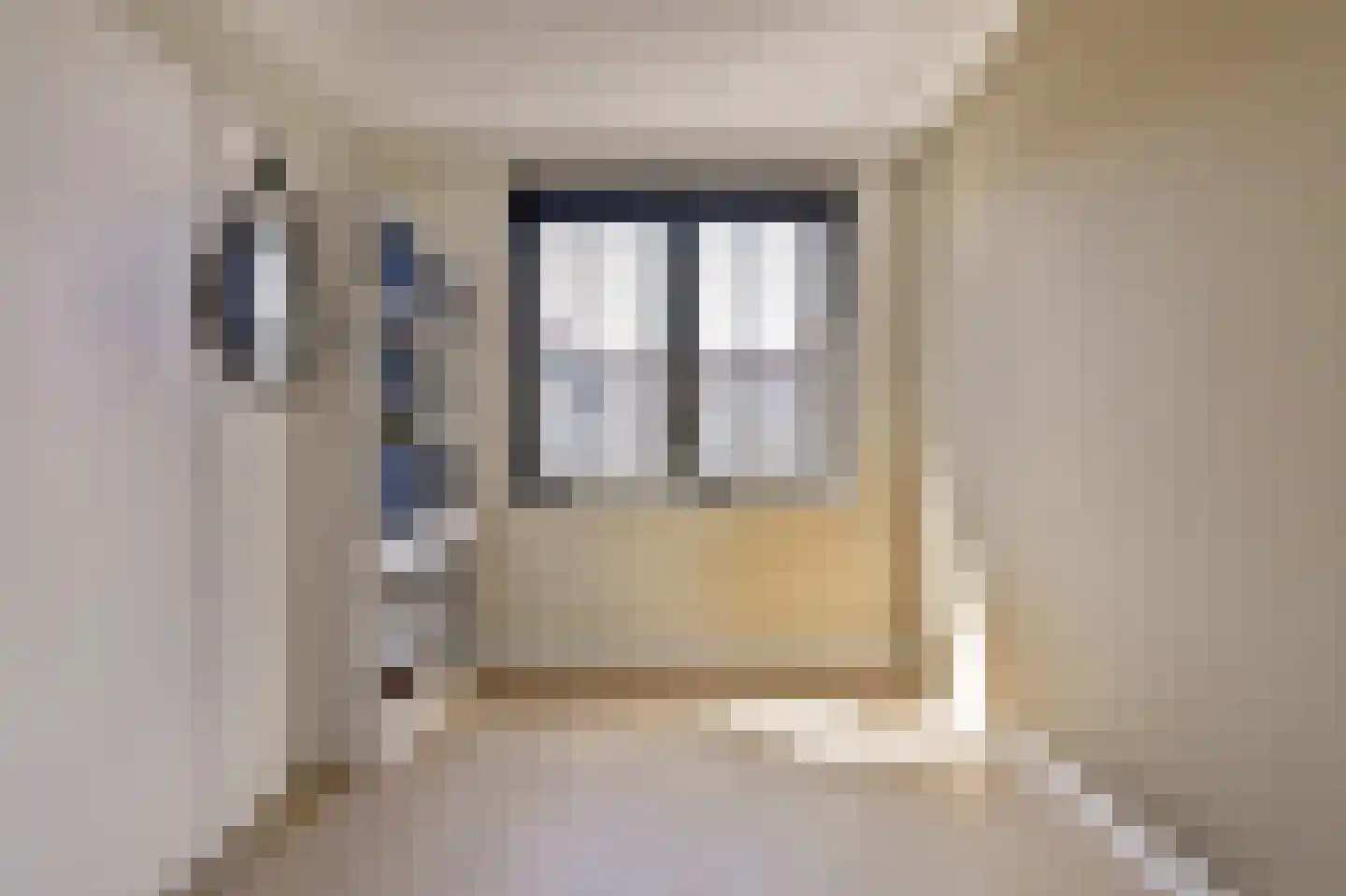 Zilverkarper 14 Waddinxveen thumbnail 29