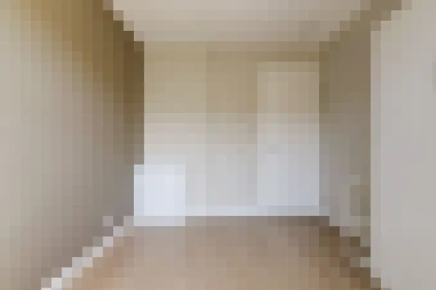 Zilverkarper 14 Waddinxveen thumbnail 30