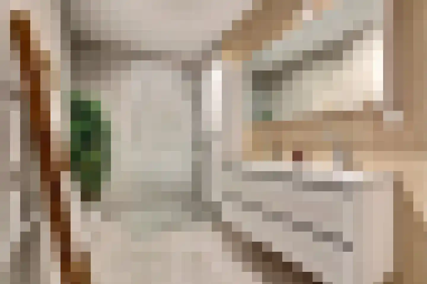 Zilverkarper 14 Waddinxveen thumbnail 31