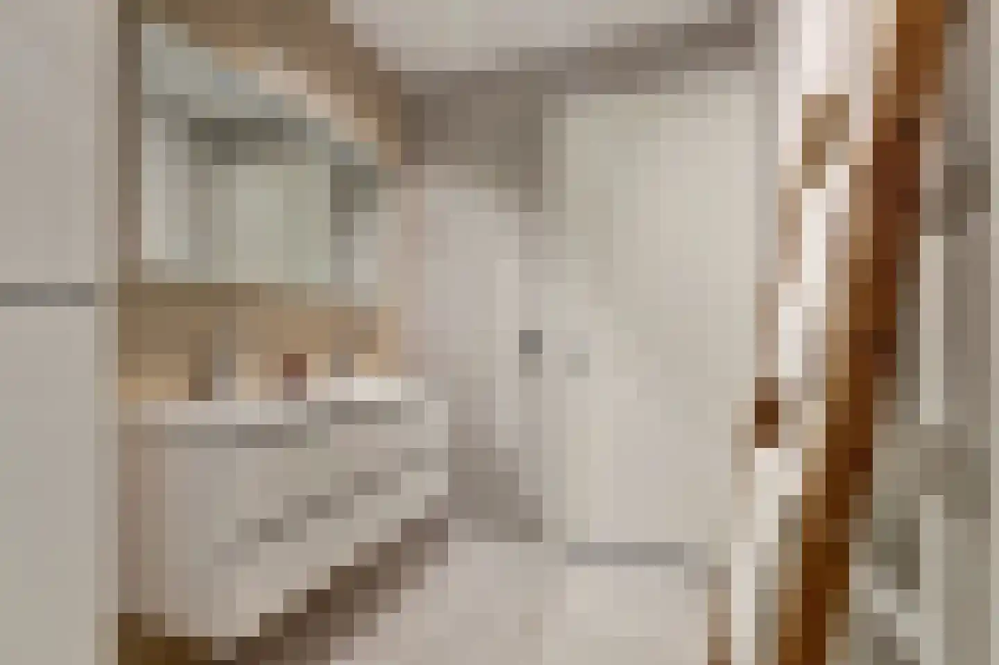 Zilverkarper 14 Waddinxveen thumbnail 32