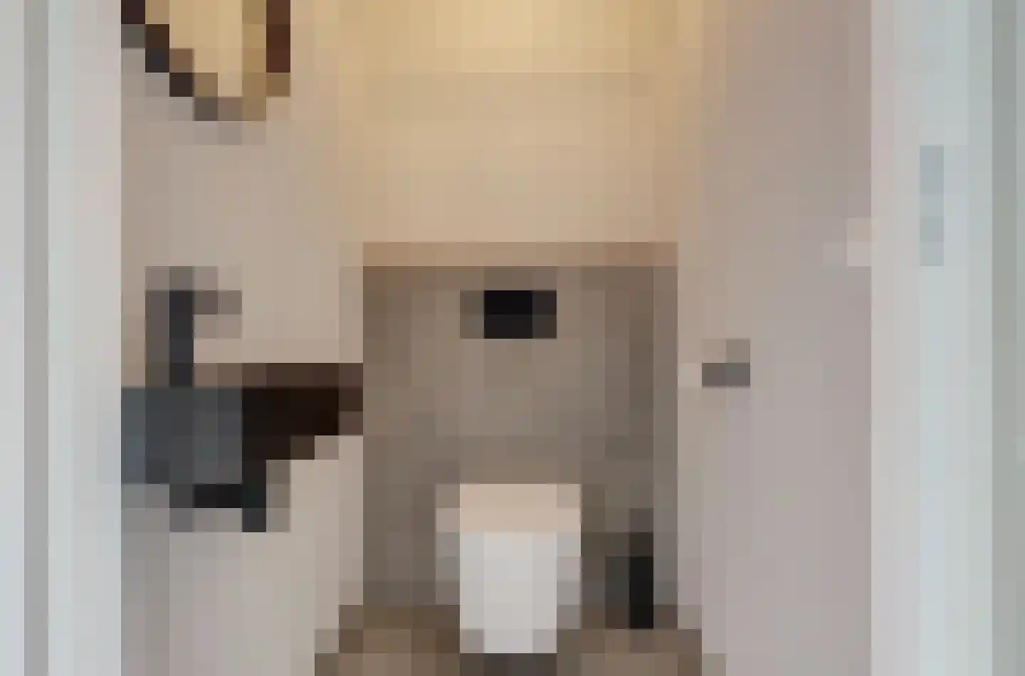 Zilverkarper 14 Waddinxveen thumbnail 33
