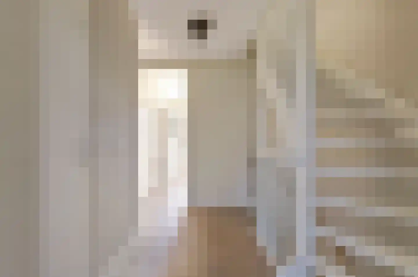 Zilverkarper 14 Waddinxveen thumbnail 34