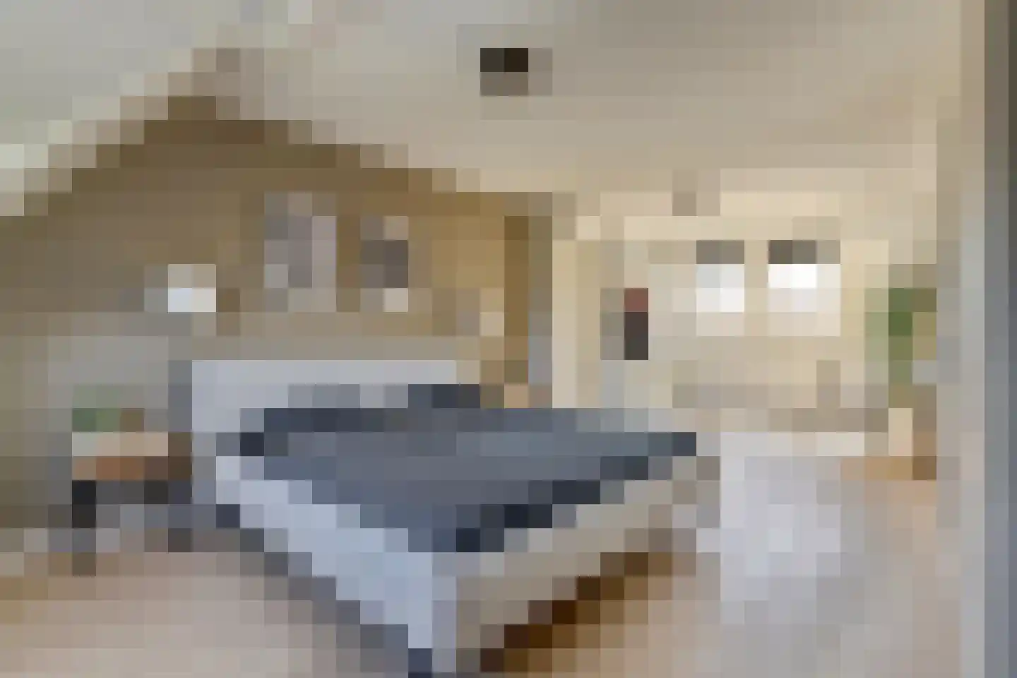 Zilverkarper 14 Waddinxveen thumbnail 35