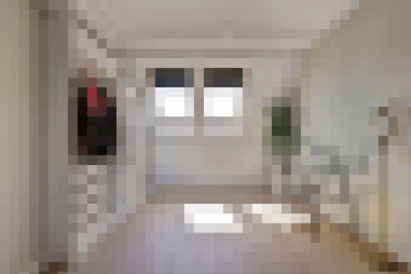 Zilverkarper 14 Waddinxveen thumbnail 36
