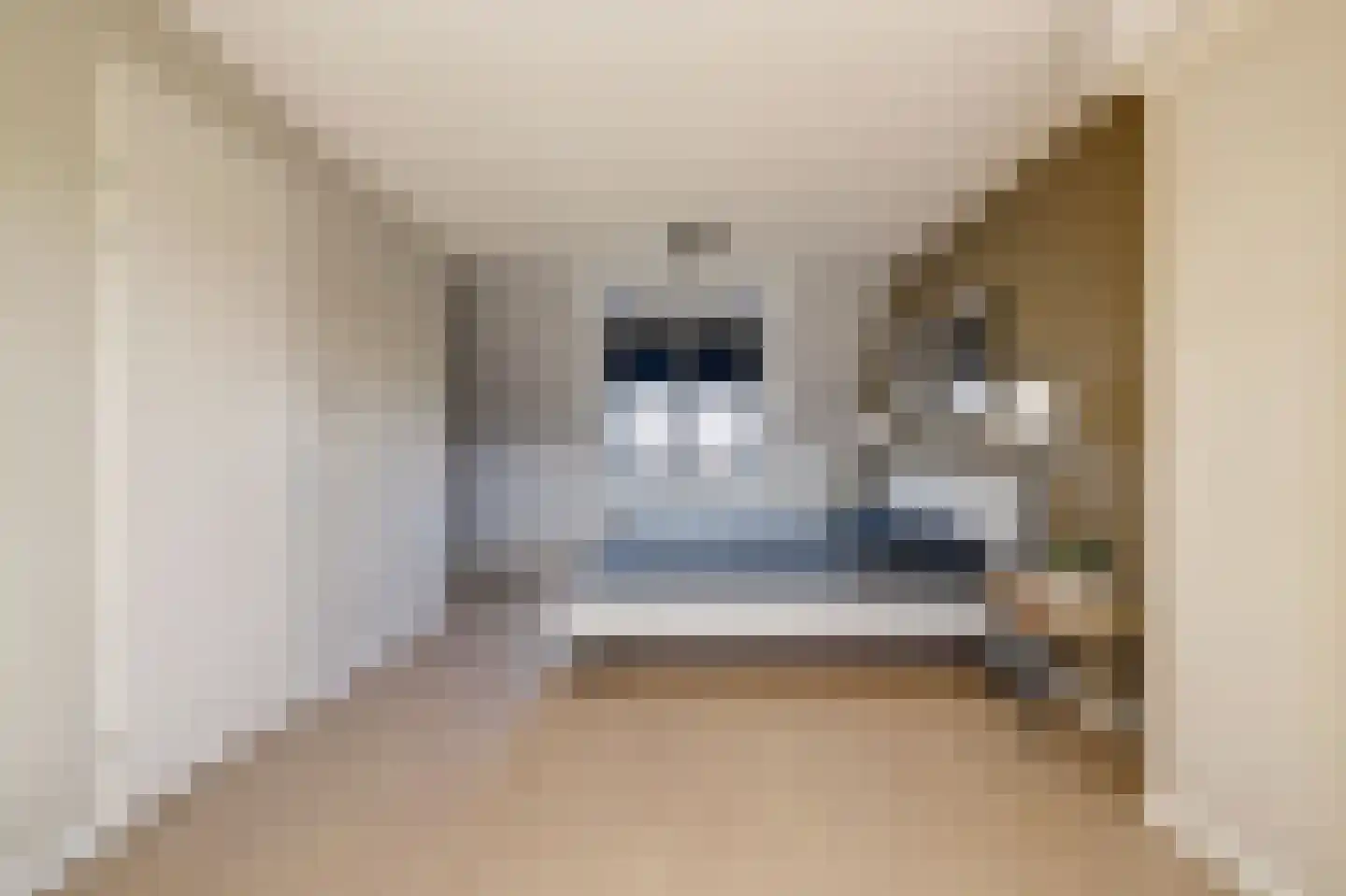 Zilverkarper 14 Waddinxveen thumbnail 37