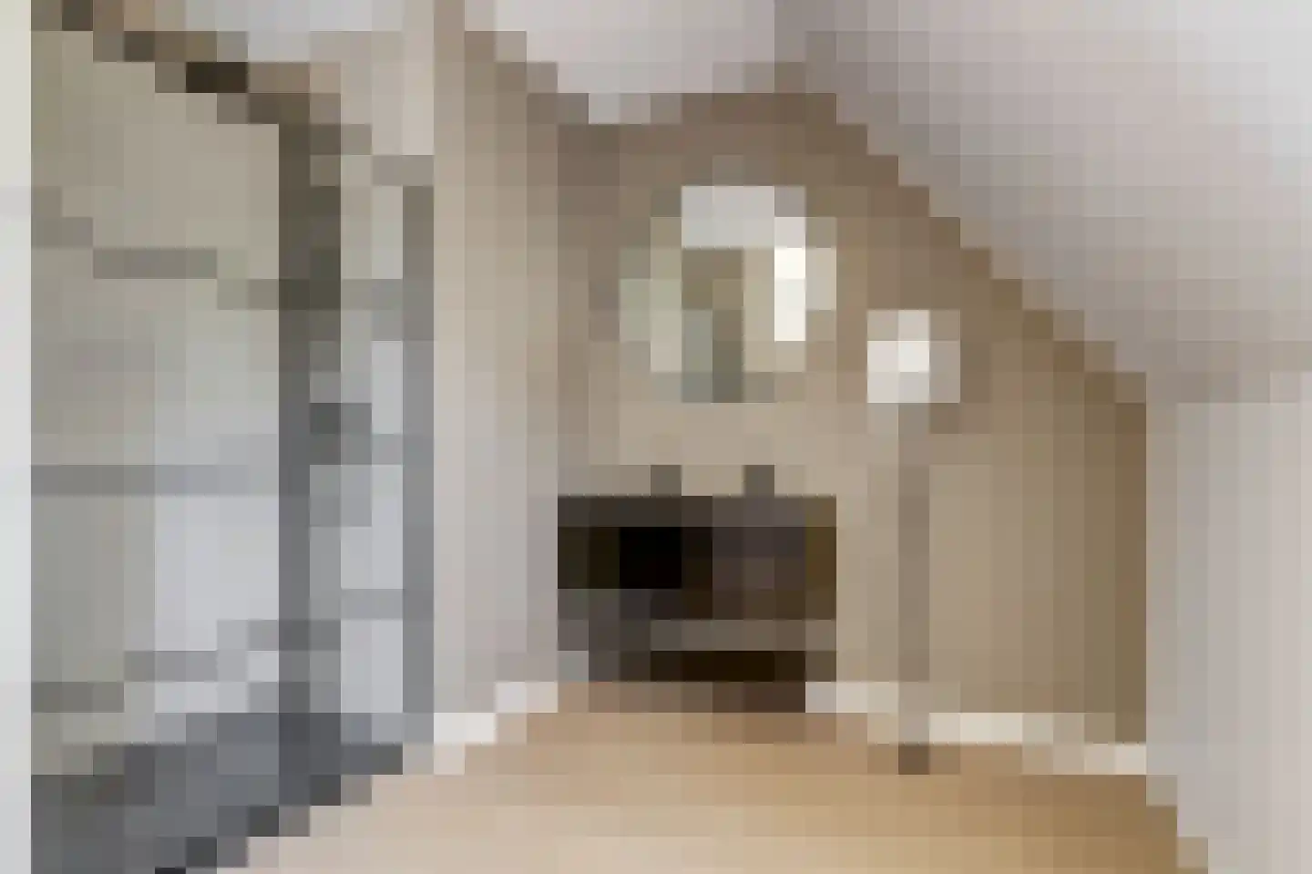 Zilverkarper 14 Waddinxveen thumbnail 39