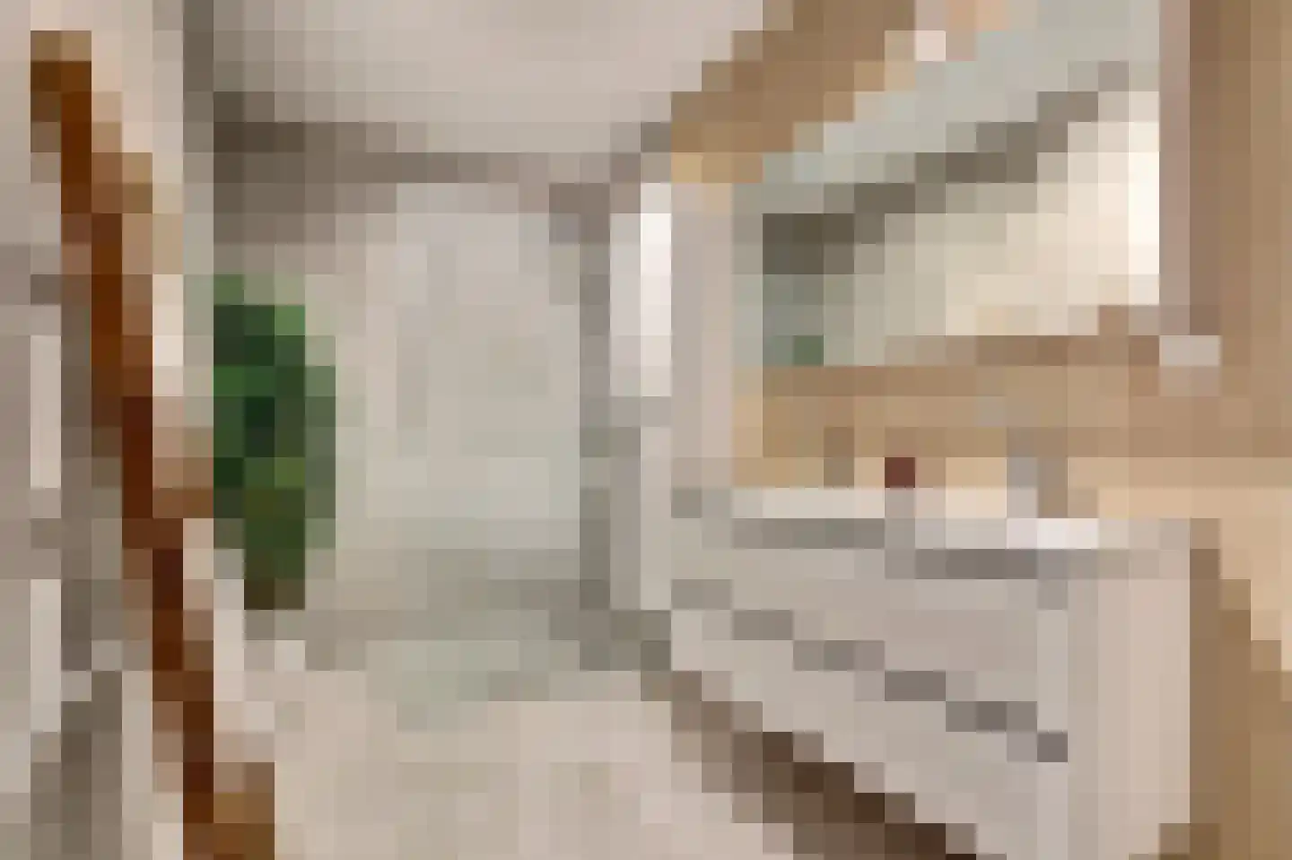 Zilverkarper 14 Waddinxveen thumbnail 4