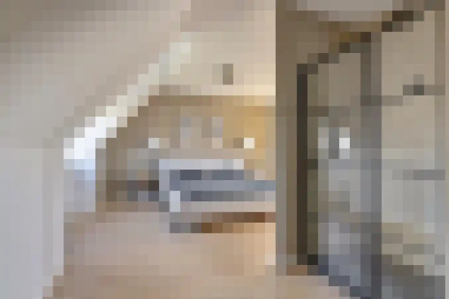 Zilverkarper 14 Waddinxveen thumbnail 40