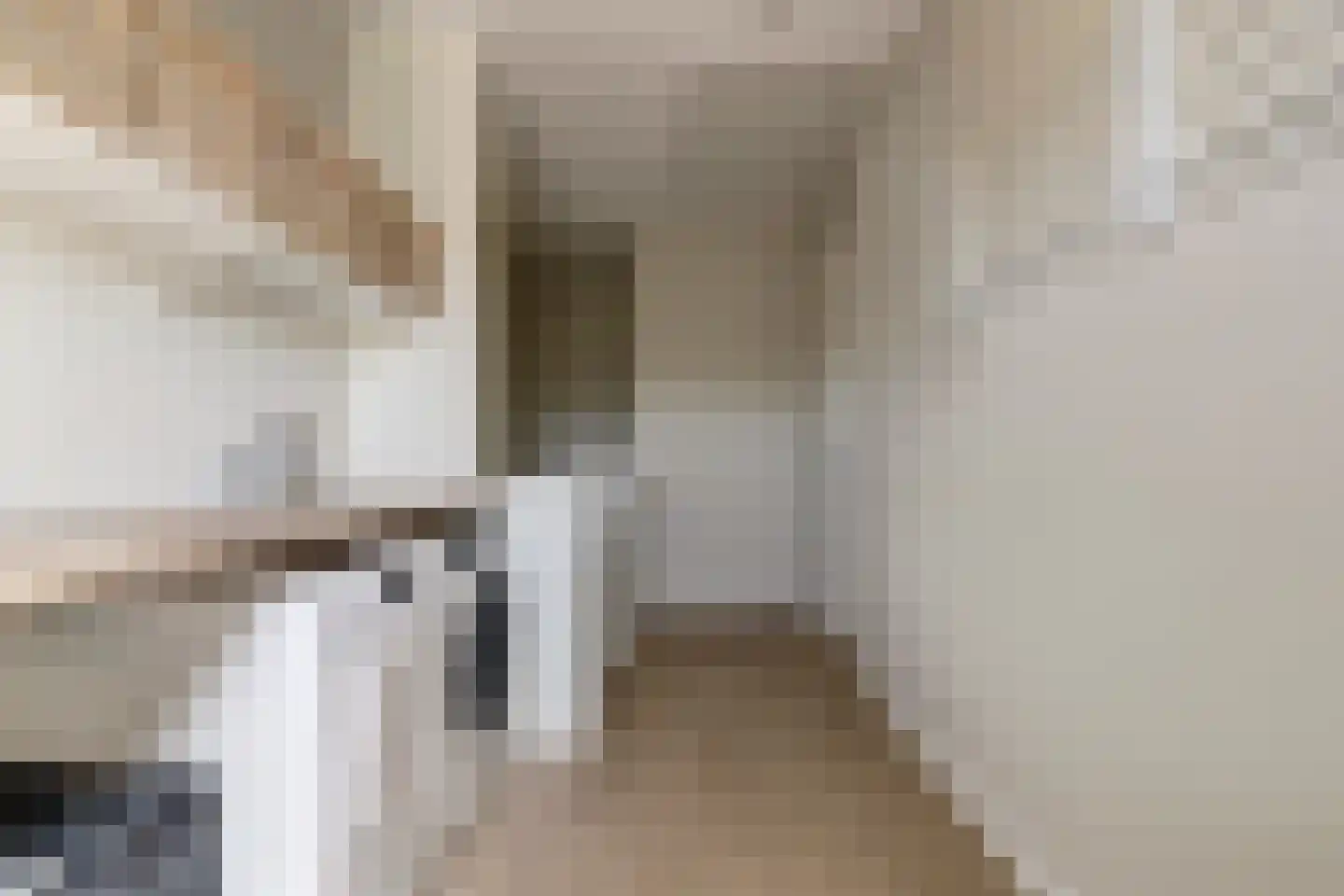 Zilverkarper 14 Waddinxveen thumbnail 41