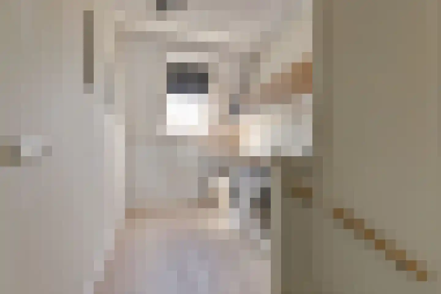 Zilverkarper 14 Waddinxveen thumbnail 42