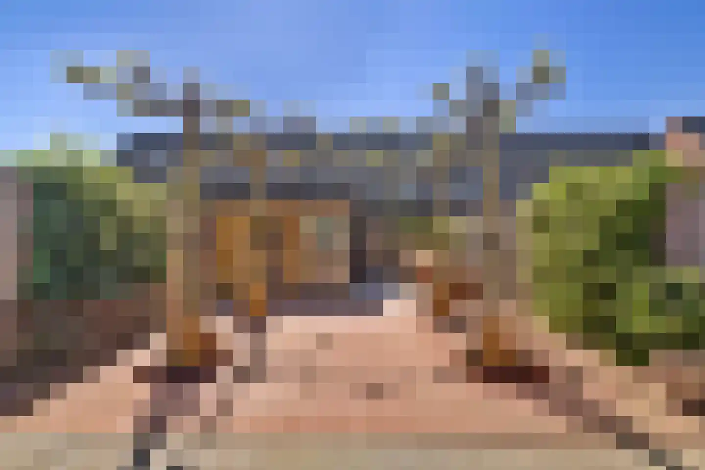 Zilverkarper 14 Waddinxveen thumbnail 43