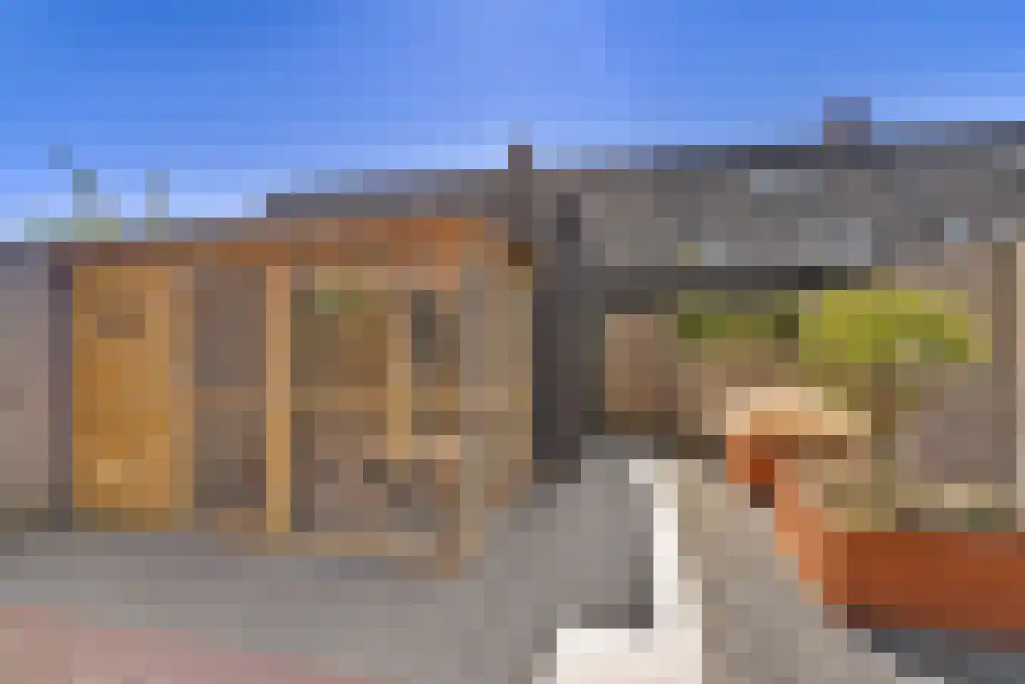 Zilverkarper 14 Waddinxveen thumbnail 44