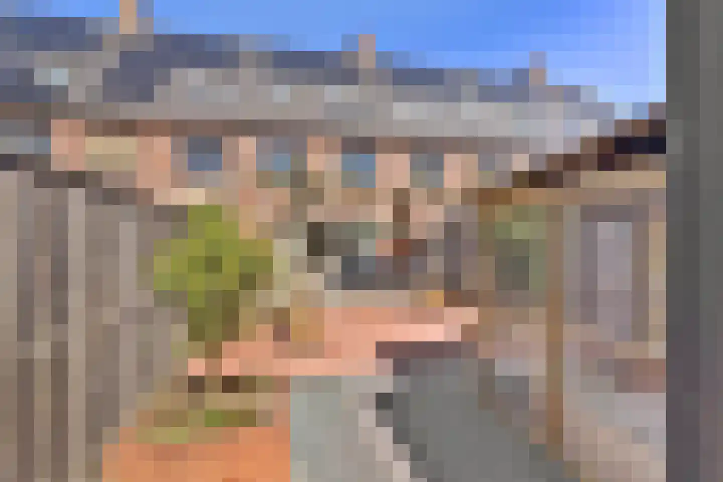 Zilverkarper 14 Waddinxveen thumbnail 45