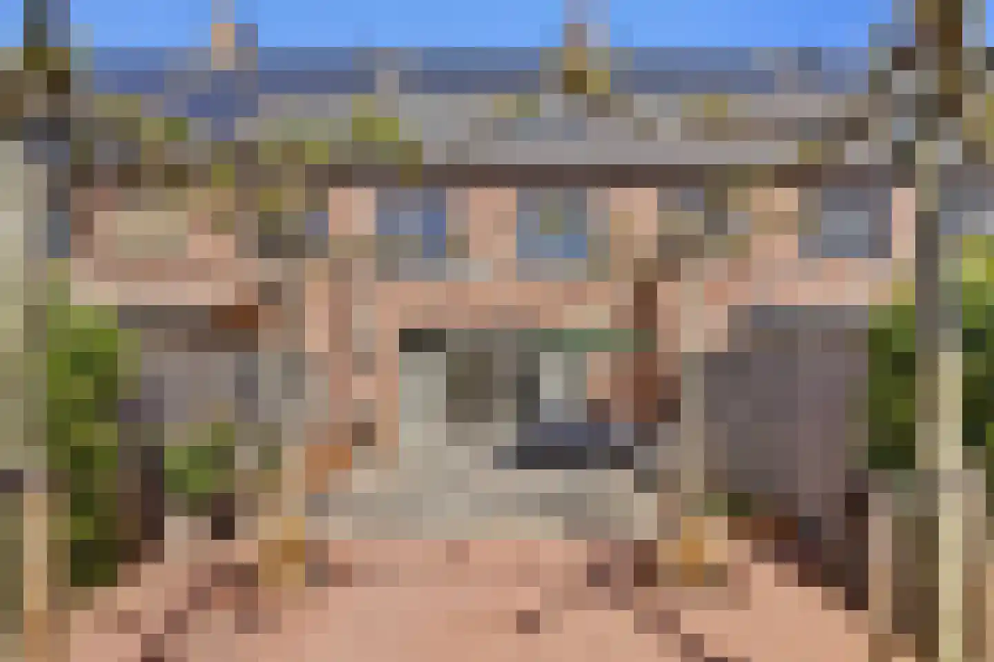Zilverkarper 14 Waddinxveen thumbnail 46