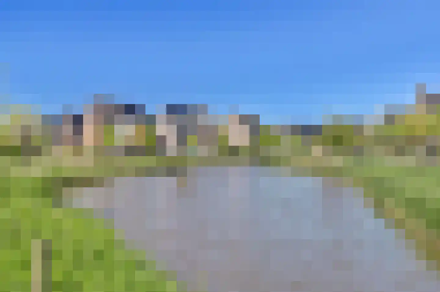 Zilverkarper 14 Waddinxveen thumbnail 50