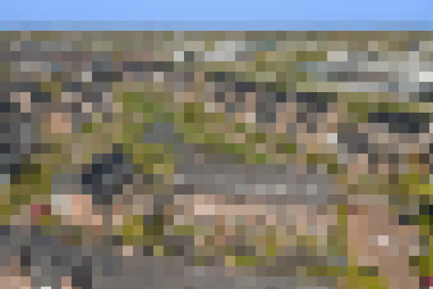 Zilverkarper 14 Waddinxveen thumbnail 7