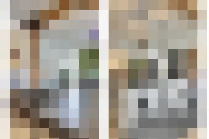 Zilverkarper 4 Vlijmen thumbnail 11