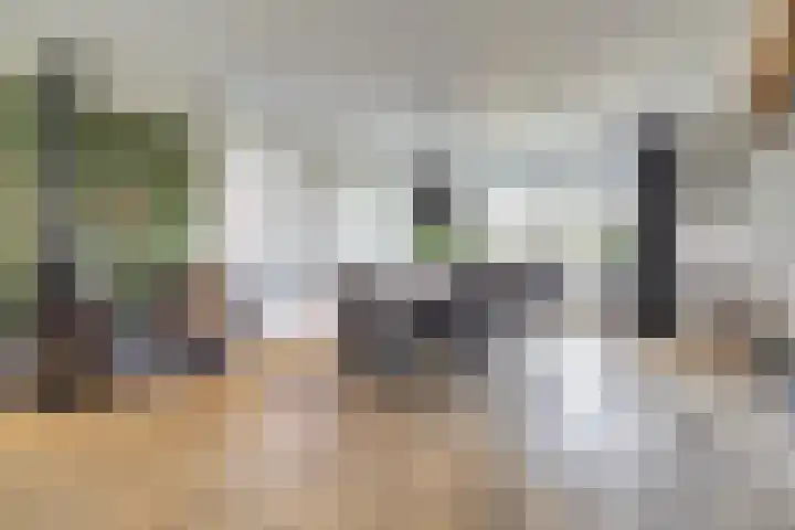 Zilverkarper 4 Vlijmen thumbnail 12