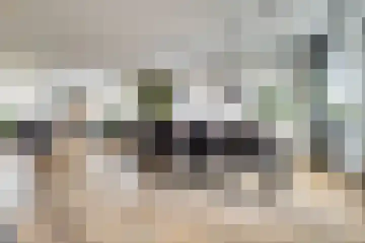 Zilverkarper 4 Vlijmen thumbnail 14