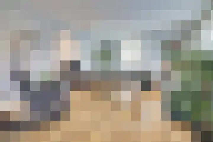 Zilverkarper 4 Vlijmen thumbnail 15