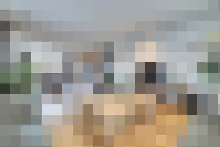 Zilverkarper 4 Vlijmen thumbnail 16