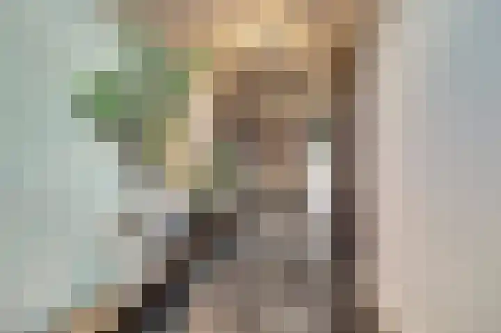 Zilverkarper 4 Vlijmen thumbnail 17